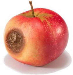 苹果烂了一点能吃吗？把烂的部分切去，好的部分可以吃吗？